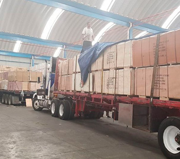 Maderas del Altiplano