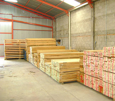 Maderas del Altiplano