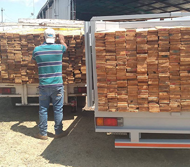 Maderas del Altiplano