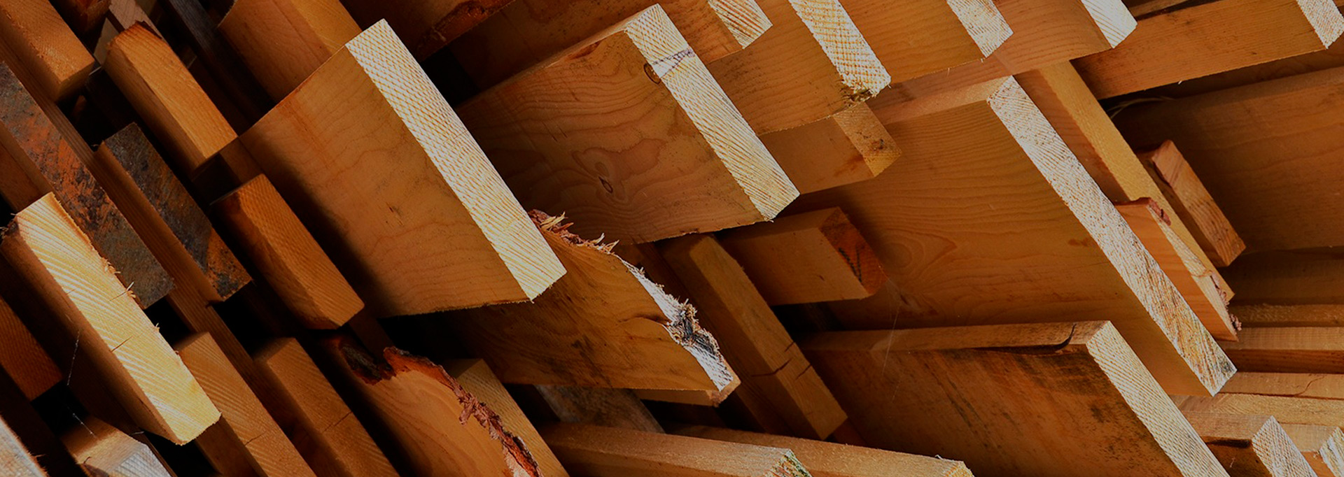 Maderas del Altiplano