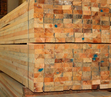 Maderas del Altiplano