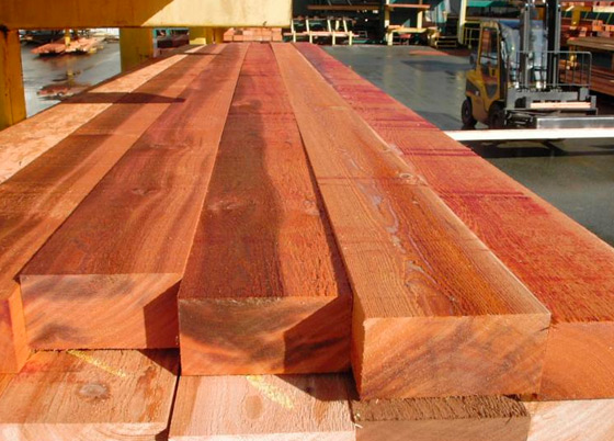 Maderas del Altiplano