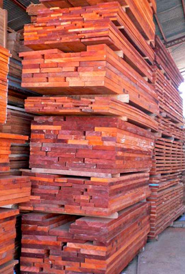 Maderas del Altiplano