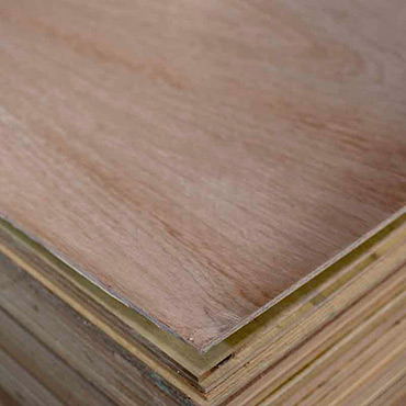 Maderas del Altiplano